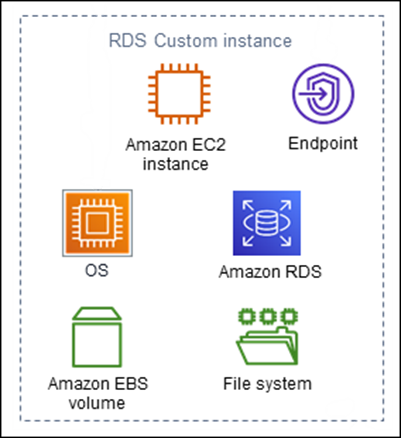 Componentes de las instancias de base de datos de RDS Custom.