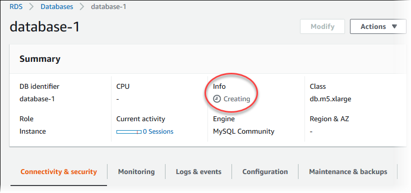 Detalles de My DB instances.