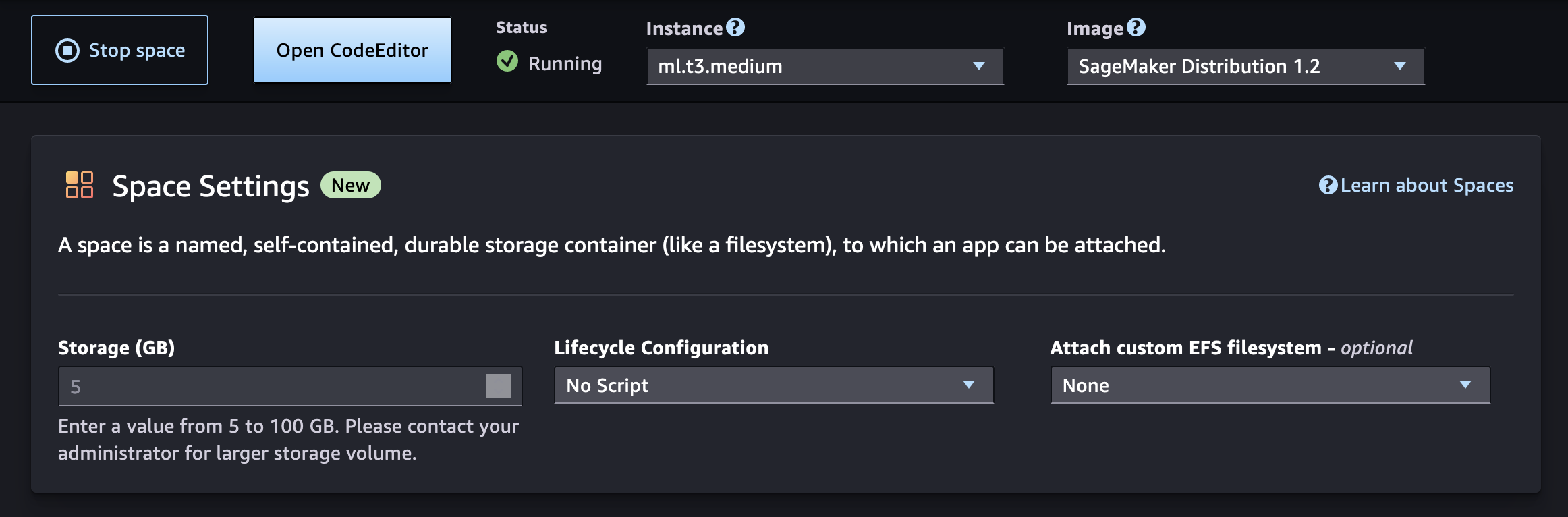 Page des détails de l’espace dans l’interface utilisateur de l’application d’éditeur de code.