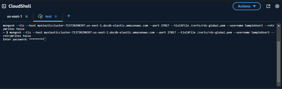 CloudShell Schermata del cluster elastico che richiede la password dell'utente