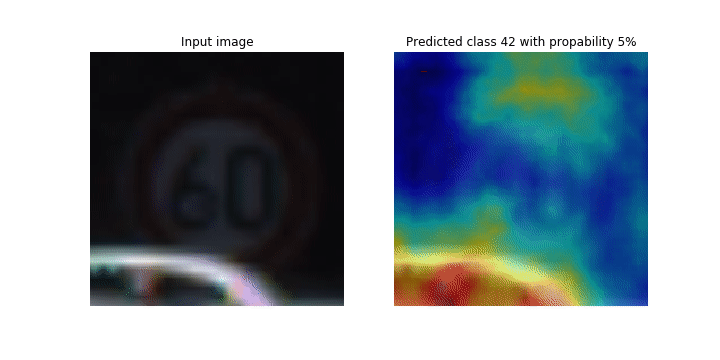 Un'animazione delle mappe di attivazione delle classi della CNN.